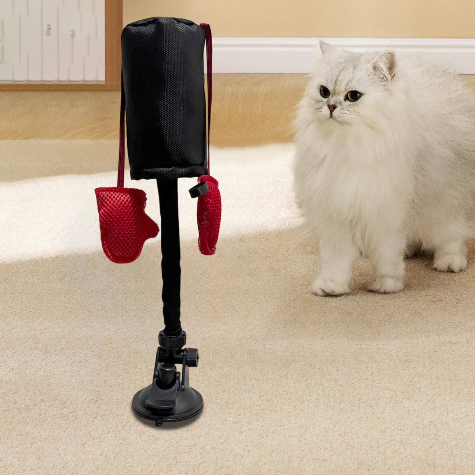 パンチングバッグ 猫のおもちゃ 子猫用ジムパンチングプレイお - Home Gym For Kids のレビューと価格