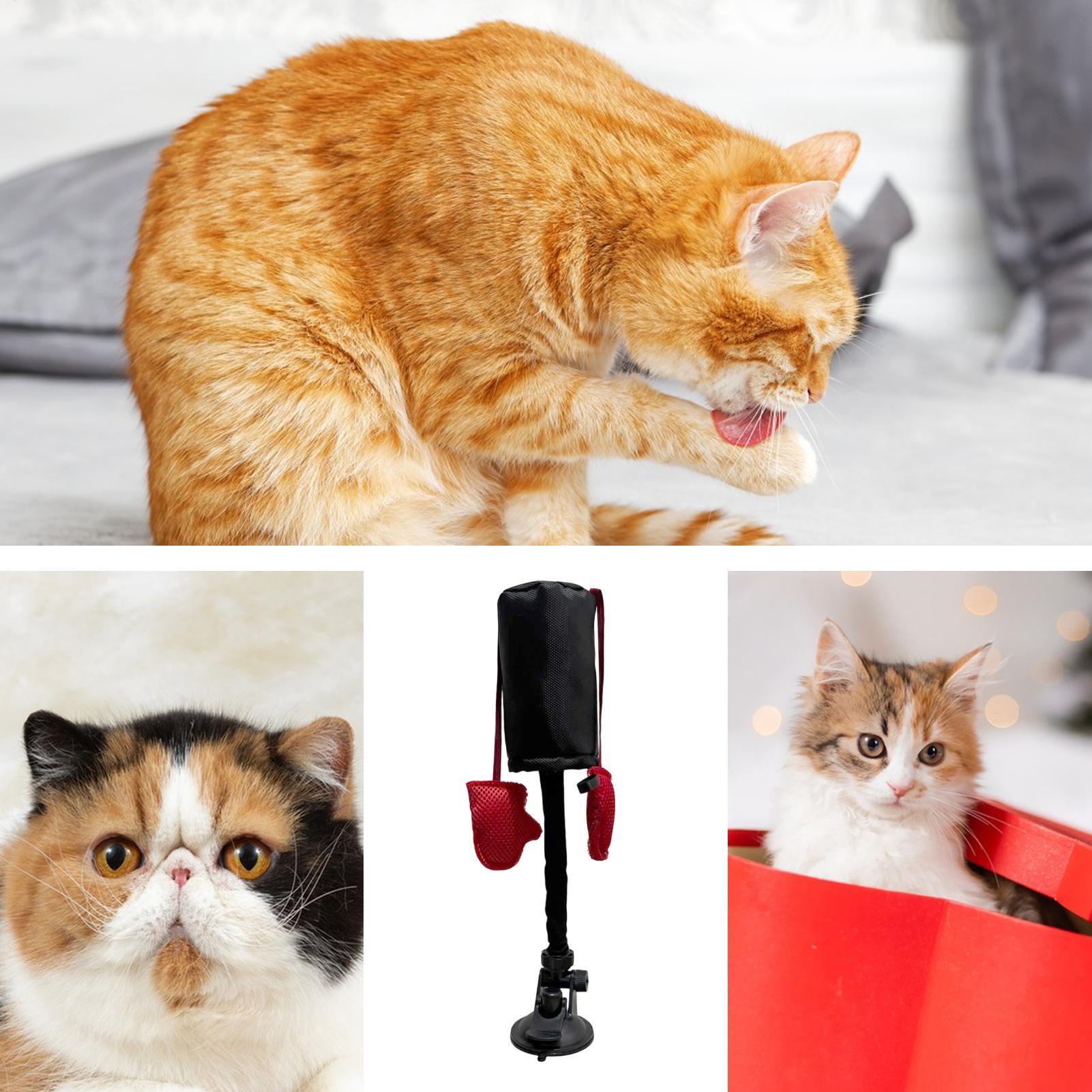 パンチングバッグ 猫のおもちゃ 子猫用ジムパンチングプレイお - Home Gym For Kids のレビューと価格